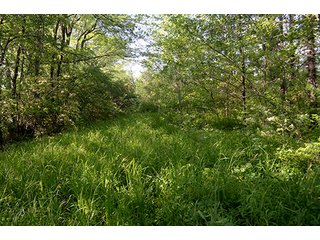 Property photo 35 - LAND AUCTION - 215+/- ACRES OFFERED IN 6 TRACTS IN VAN WERT COUNTY, OHIO